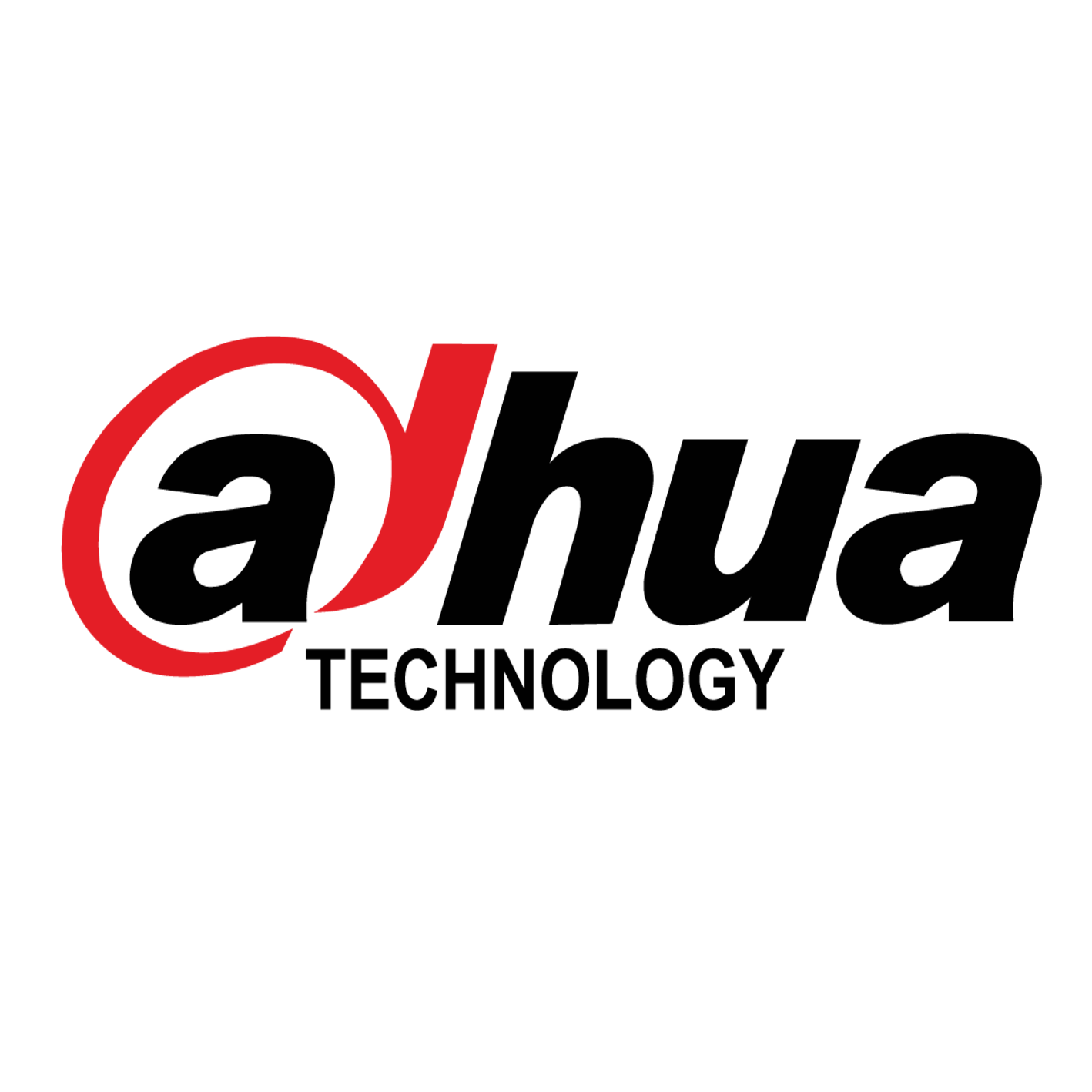 Dahua security cameras